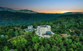 Lemongrass Inn Munnar 4*